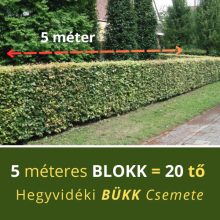 Bükk sövény blokk (5 méterre)