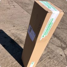 Télizöld "Hibrid" Fagyal Sövény